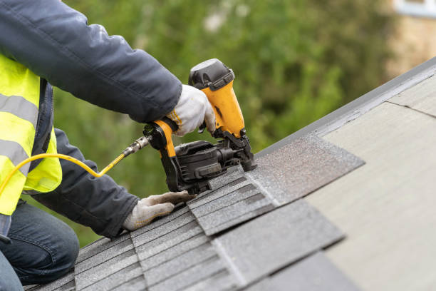Best Roof Insulation Installation  in Williston, SC