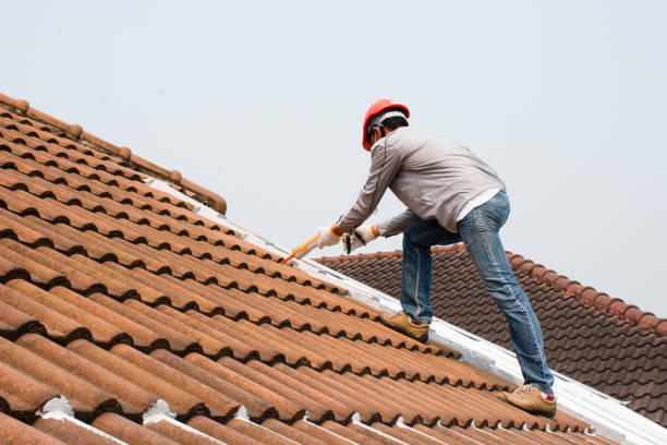 Best Metal Roofing Installation  in Williston, SC